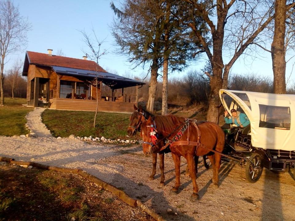 Evergreen House Plitvice Rakovica Esterno foto
